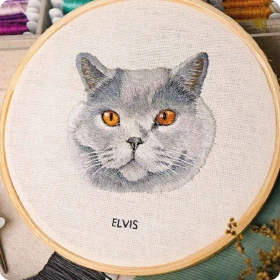 elvis