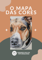 O mapa das cores